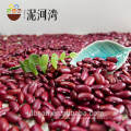 500g vacuum packing organic dark red kidney bean hot sale for supermarket